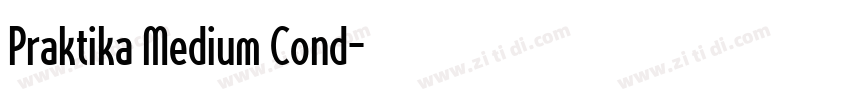 Praktika Medium Cond字体转换